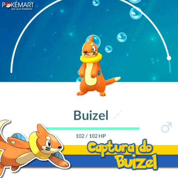 pokemon buizel evolution chart