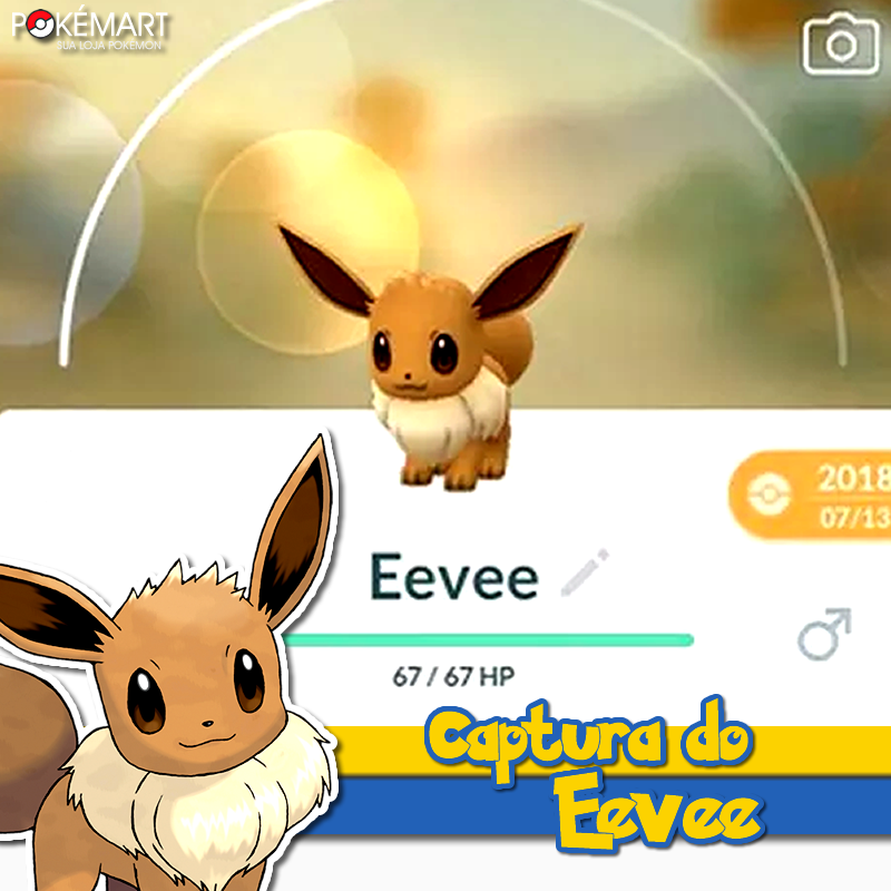 pokemon #pokemoncommunity #pokemonbrasil #pokemontiktok #eevee #eevee