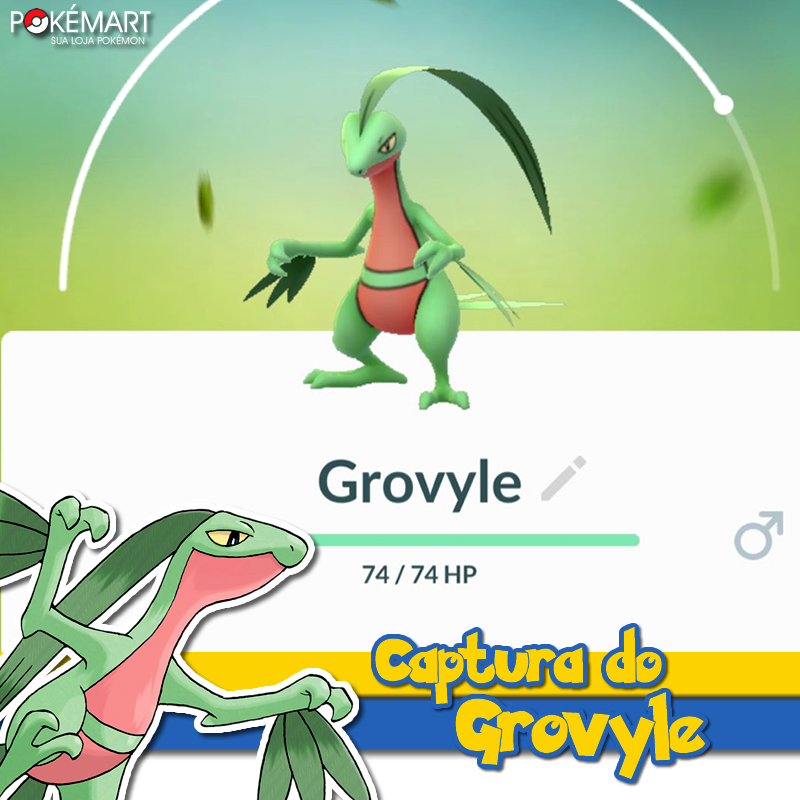 Evolucao Do Pokemon Grovyle Pokemon Grovyle (39) Stormfront